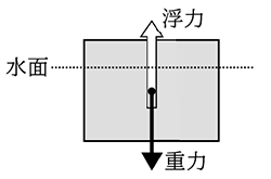 テスト 中3解答 理科 5-(1)