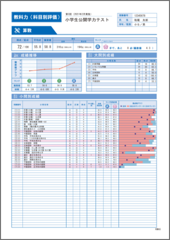 【総合成績資料】教科力（科目別評価）全体