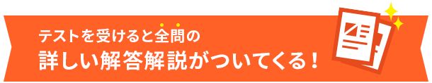 テストを受けると全問の詳しい解答解説がついてくる！ | 学年総まとめテスト